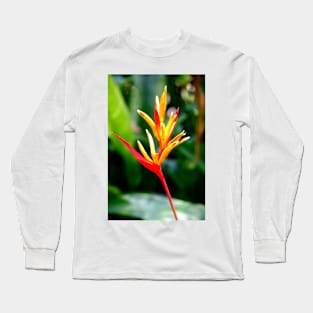 Tropical Flower Long Sleeve T-Shirt